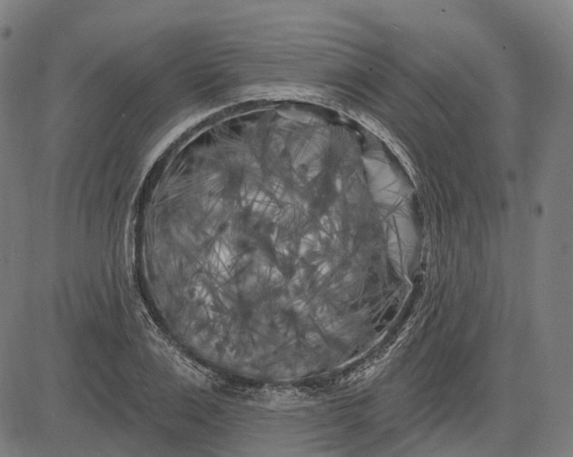 X0000082710983200702091743