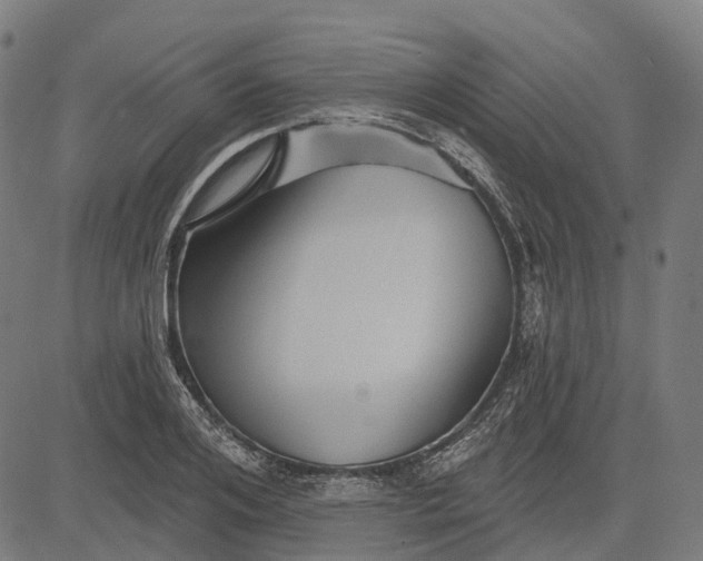 X0000082710984200702091743