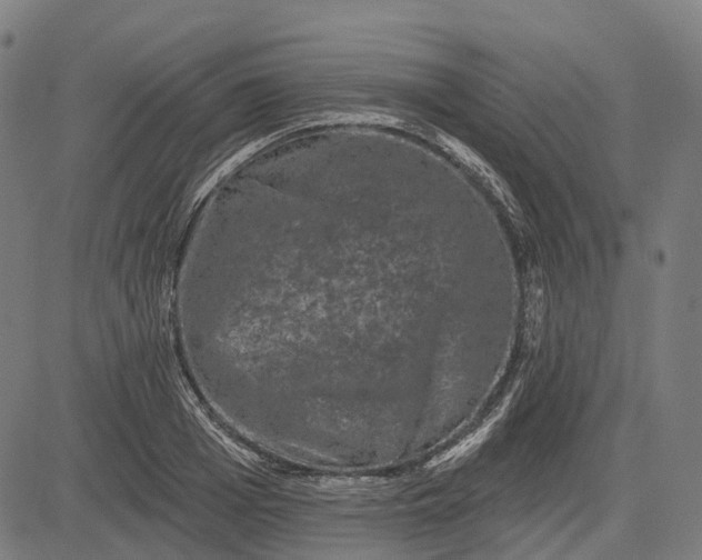 X0000082710985200702091743