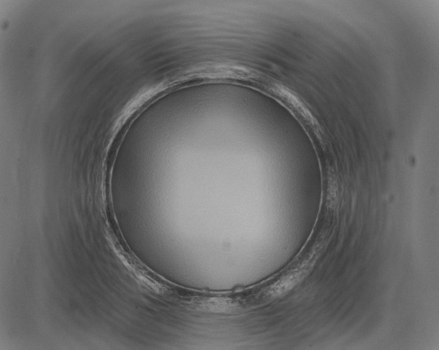 X0000082710986200702091743