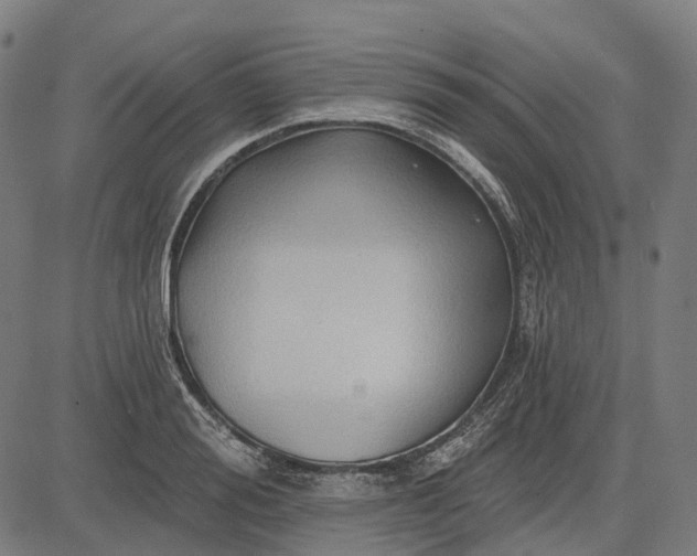 X0000082710988200702091743