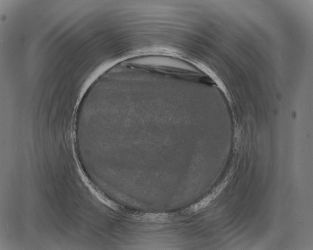 X0000082710989200702091743