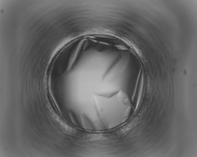 X0000082710990200702091743