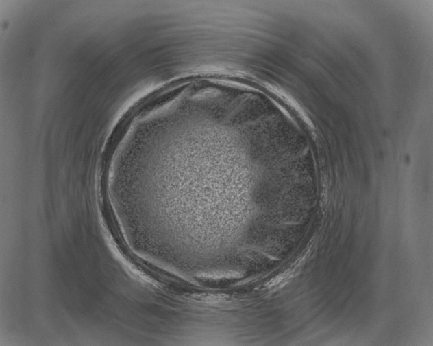 X0000082710991200702091743