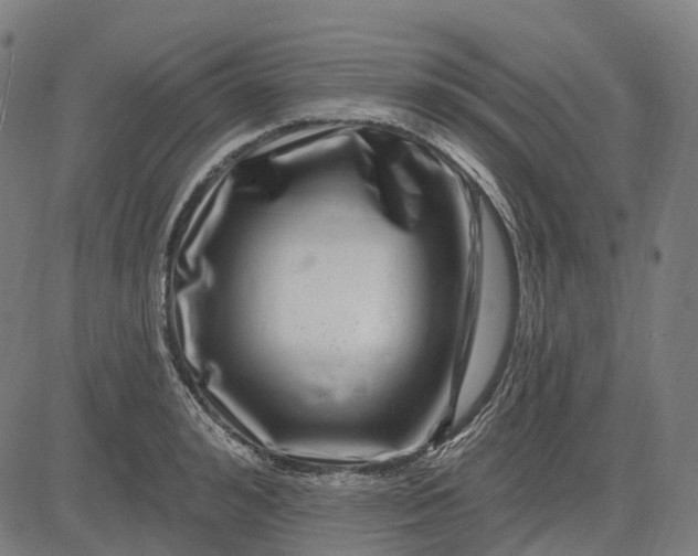 X0000082710992200702091743