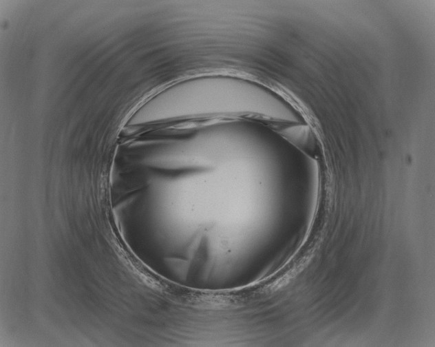 X0000082710993200702091743