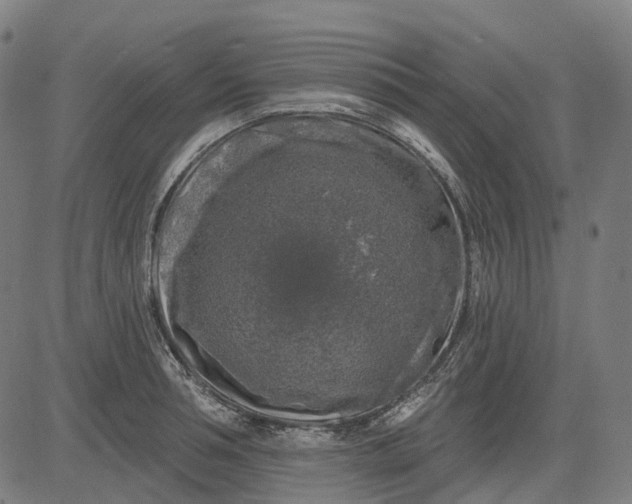 X0000082710994200702091743