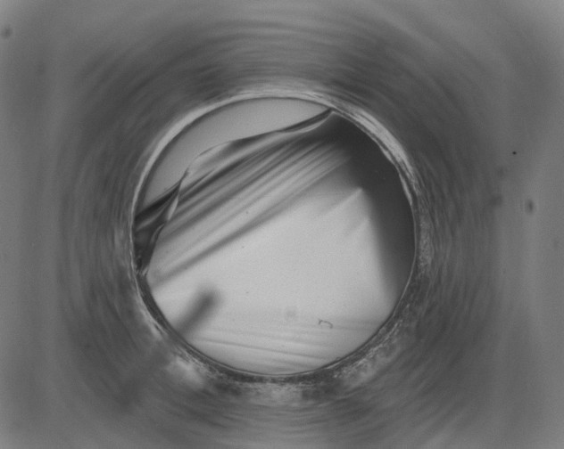 X0000082710996200702091743