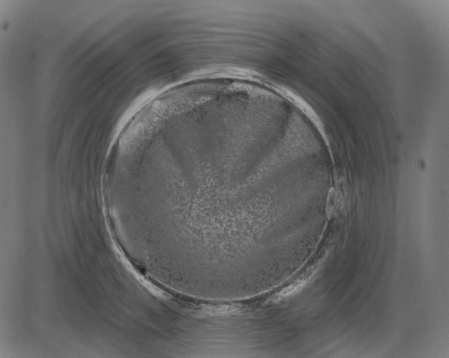 X0000082710997200702091743