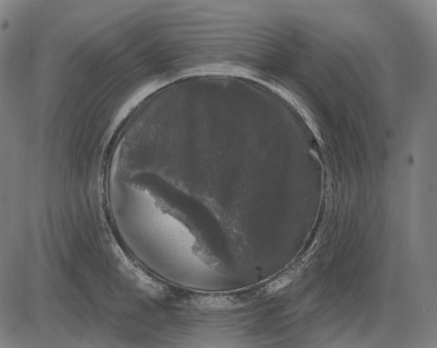 X0000082710998200702091743