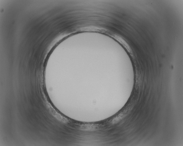 X0000082711000200702091743