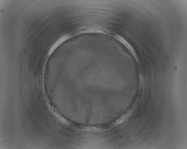 X0000082711002200702091743