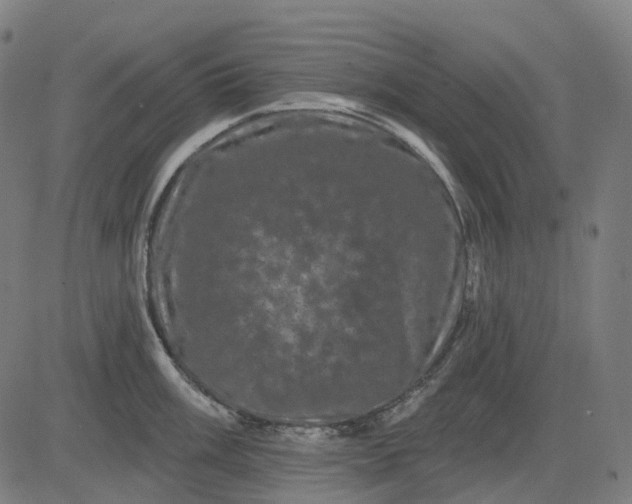 X0000082711003200702091743