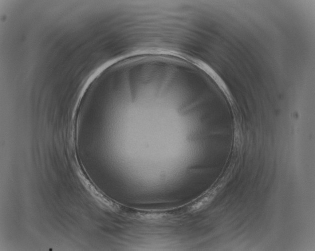 X0000082711004200702091743