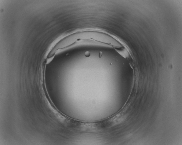 X0000082711006200702091743