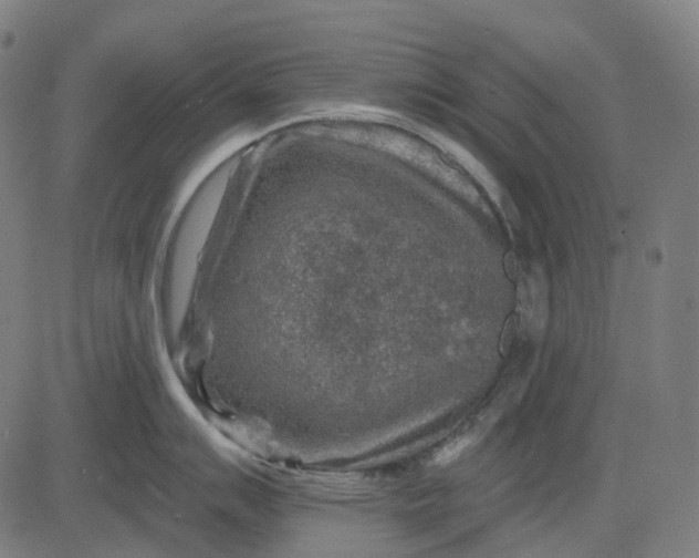 X0000082711007200702091743