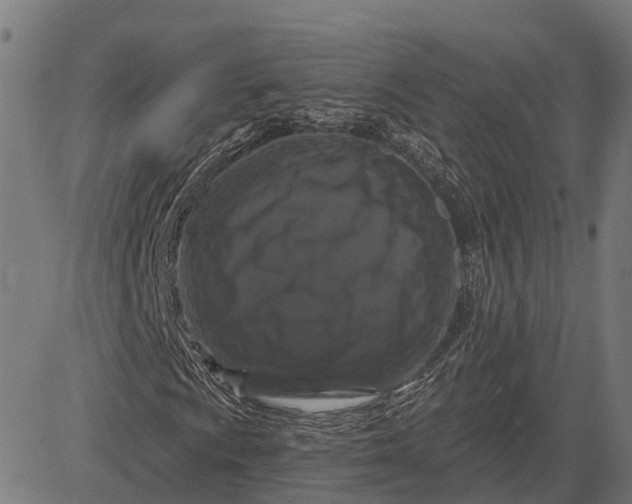 X0000082711009200702091742