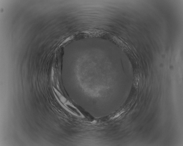 X0000082711010200702091742