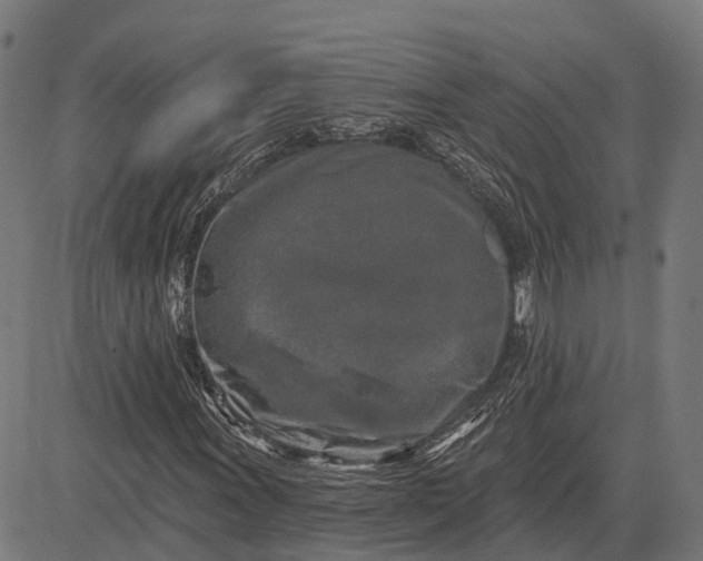 X0000082711011200702091742