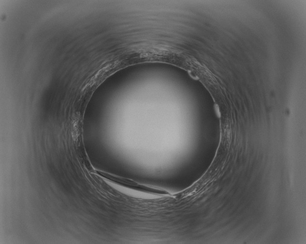 X0000082711012200702091742