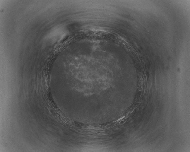 X0000082711013200702091742