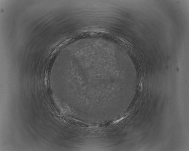 X0000082711014200702091742