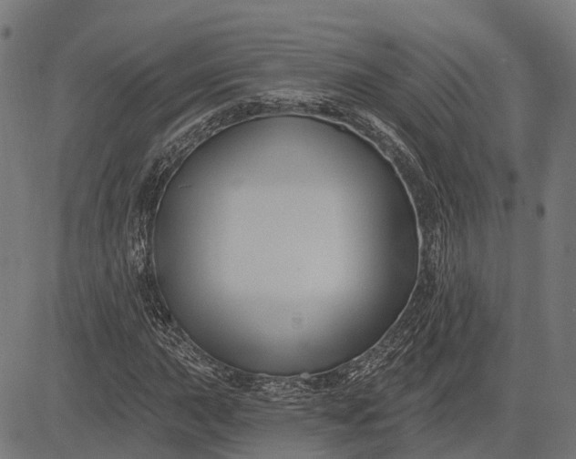 X0000082711015200702091742