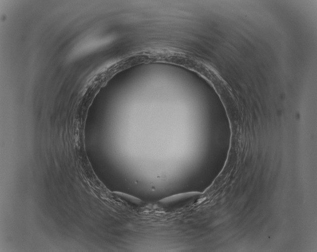 X0000082711016200702091742