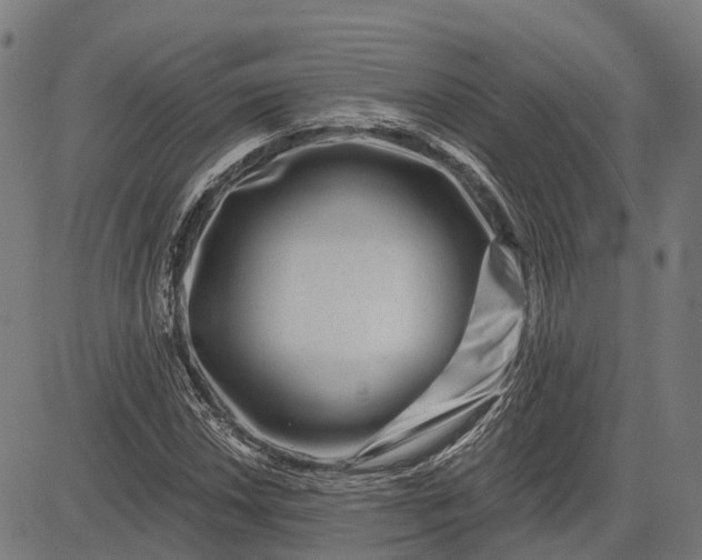 X0000082711018200702091742