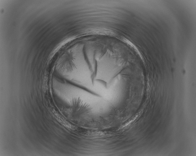 X0000082711019200702091742