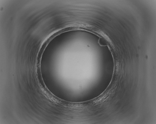 X0000082711020200702091742