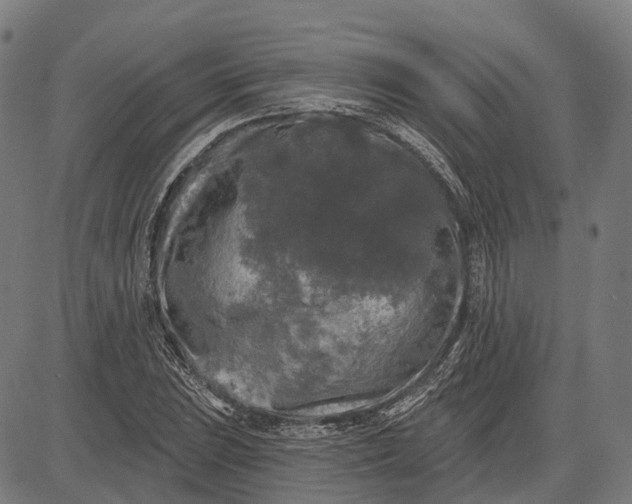 X0000082711023200702091742