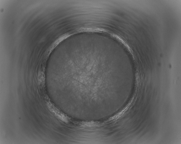 X0000082711025200702091742