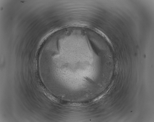 X0000082711027200702091742