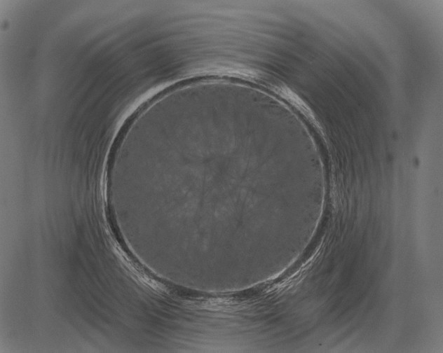 X0000082711028200702091742