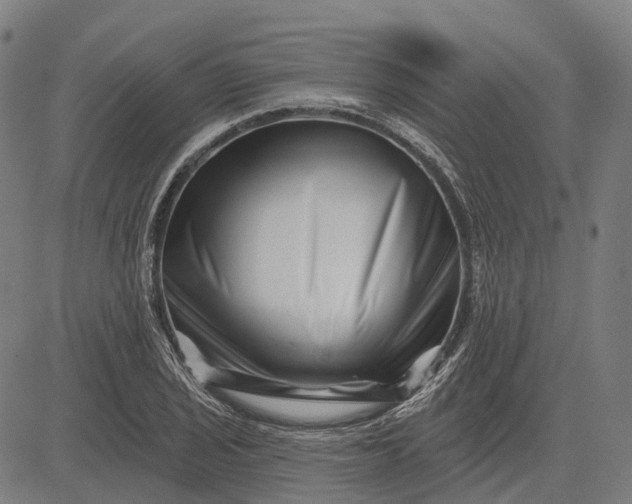 X0000082711029200702091742