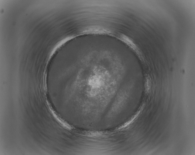 X0000082711030200702091742