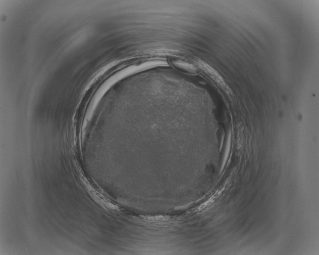 X0000082711031200702091742