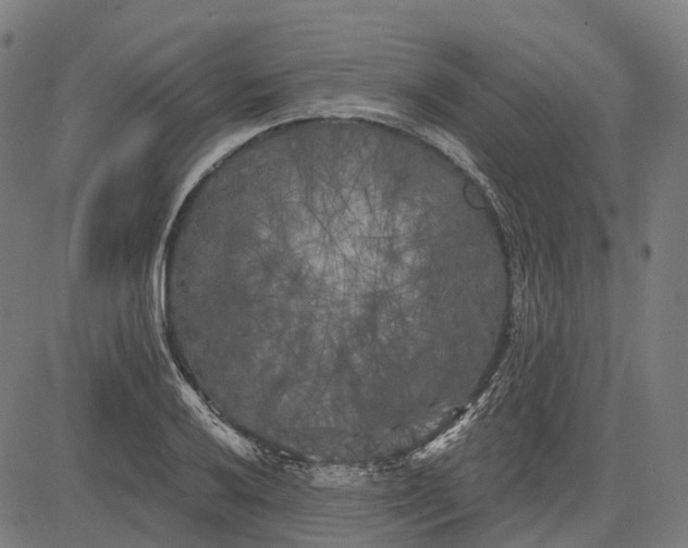 X0000082711032200702091742