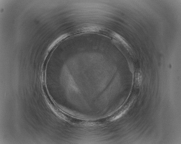 X0000082711034200702091742