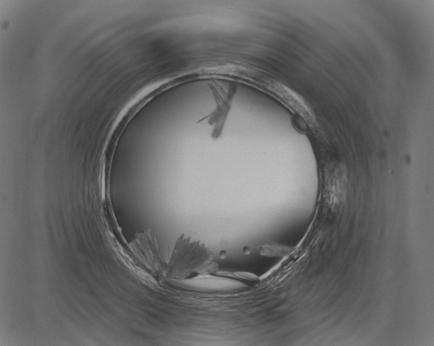 X0000082711036200702091742