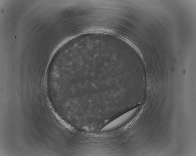 X0000082711037200702091742