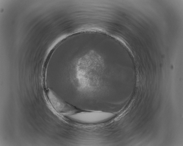 X0000082711038200702091742