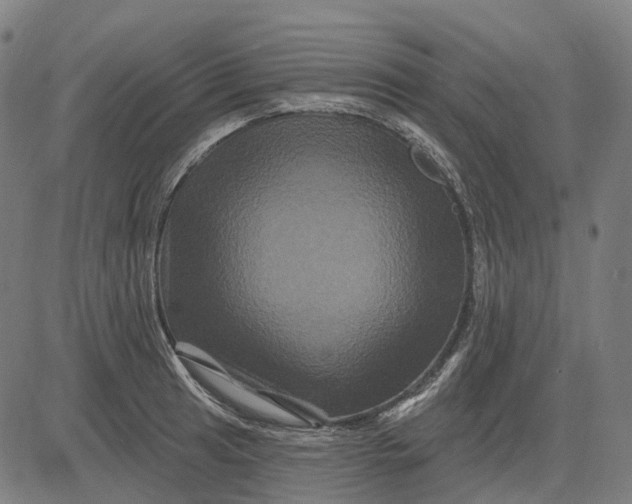 X0000082711041200702091742