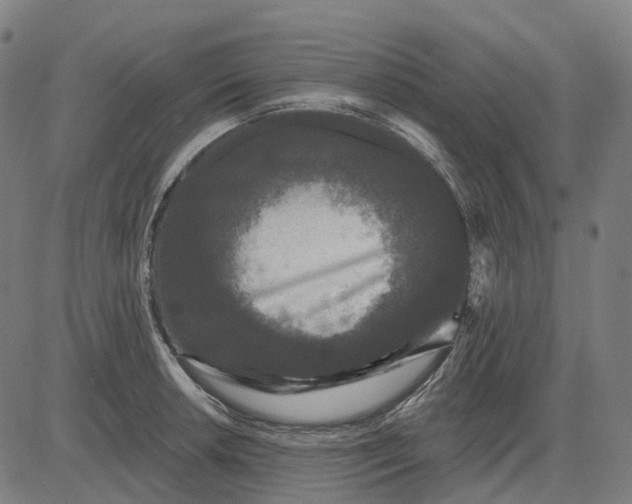 X0000082711042200702091742