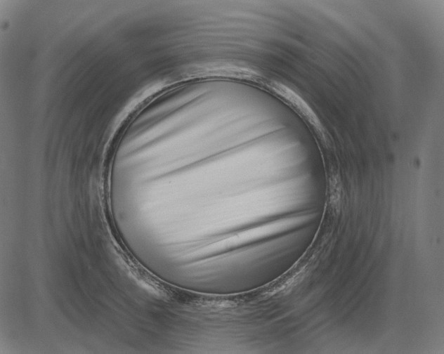 X0000082711043200702091742