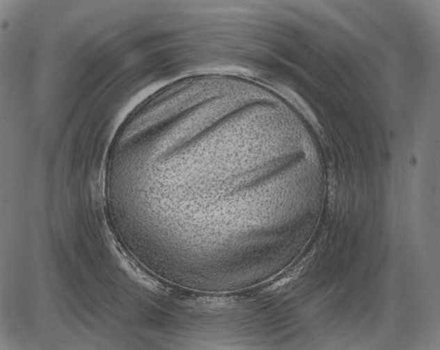 X0000082711044200702091742