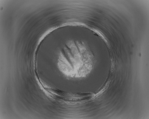 X0000082711046200702091742