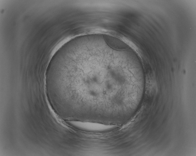 X0000082711047200702091742