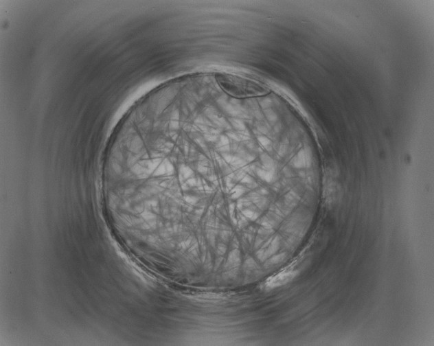 X0000082711048200702091742